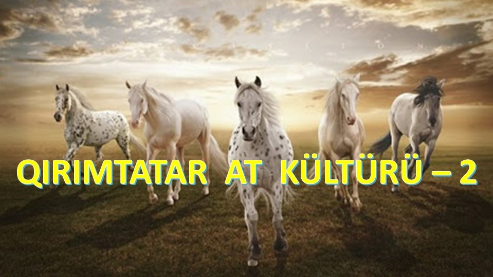 Qırımtatar_At_Kültürü_-_2.jpg