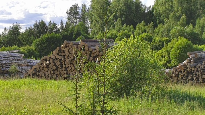 97242773 890115381506582 2762248503492083712 n