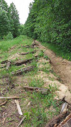 97315738 697258354368907 2641900818323734528 n