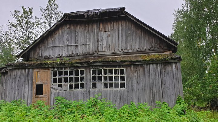 97412220 179169916708493 4544622522166935552 n