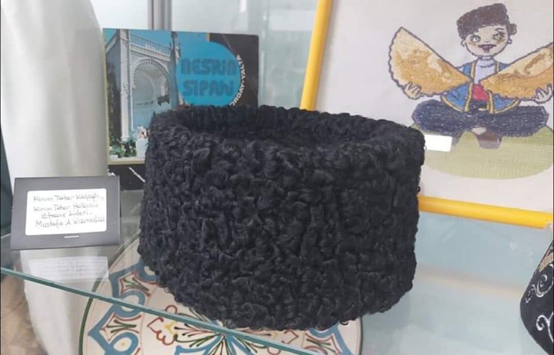 242361011 254832446437450 1390124527758297704 n